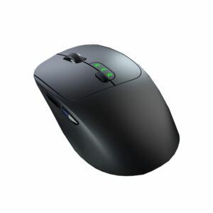 Mouse LC 80096 2