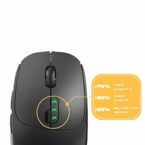 Mouse LC 80096 3