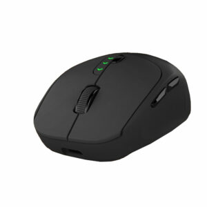 Mouse LC 80096 4